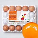금계 | 가농 금계란 내돈내산 후기, 계란값 폭등 시대에 직접 주문해봤어요