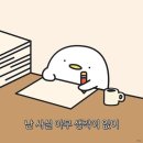 벌써 3월 ㅠ ㅠ