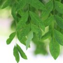 선구목장 이미지