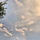 CU 정동진모래시계점 이미지