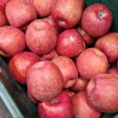 복연농장 이미지