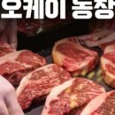 무한 농장 이미지