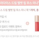 디어수지