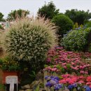 제주블랑 이미지