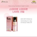탑월드주