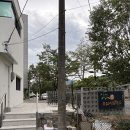 고모역식당 | 대구 고모역 이전오픈 옹심이 칼국수 내돈내산 솔직후기