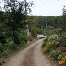 원터농장 이미지