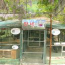 인삼랜드휴게소 이미지
