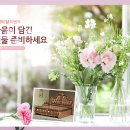꽃보다의료기