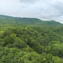 건축사사무소 강 이미지