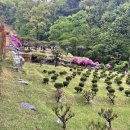 자연장지 | 자연장지 선택을 위한 필수 체크리스트