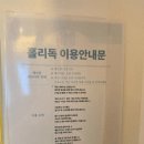 N&A로열독 | 충남 태안 애견동반 풀빌라 홀리독 | 개별수영장·운동장 내돈내산 후기