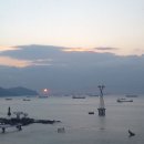 아라곰장어 이미지