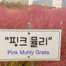 와이즈노마드