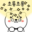 정도부동산중개사무소 이미지