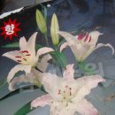 마르코농장 이미지