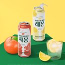 브로이 뉴스1