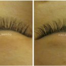 이미호아이래쉬 이미지