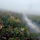 바람언덕 이미지