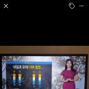 로뎀사무기 이미지