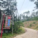 나우캠핑장관광농원 | [태안] 솔향기길 관광농원 캠핑장 실내 캠핑 후기