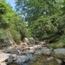 성주탑공인중개사사무소 이미지