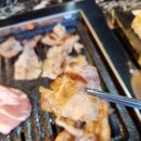 풍천장어 일번가 이미지