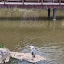 서울과학기술대학교 IT정책전문대학원 이미지