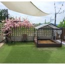 더히든풀빌라 경주 이미지