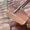 형진수산 이미지