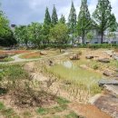 갈대정원 이미지