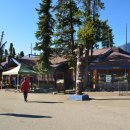 Goats & Glacier Lookout와 Sunwapta Falls Rocky Mountain Lodge 이미지