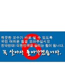 정당투표용지 미리보기 [기호6번]친박연대 이미지