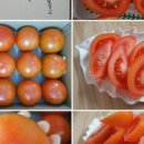 춘아농장 이미지