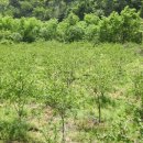 방장산 농장 이미지