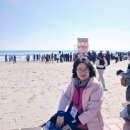 월포해수욕장 이미지