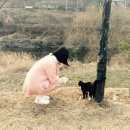 크레파스펜션 이미지