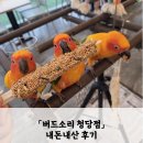 19개월 아기와 함께한 「버드소리 청당점」오감만족 앵무새 교감 내돈내산 후기!