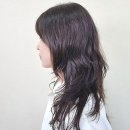 봄날의댕댕이 이미지