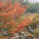 풍경휴게실