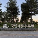 도담정 | 국립세종수목원 야간개장 입장료 주차 가든마블 다녀온 후기