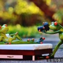 오모차랜드홍대 | 피규어사이트 오모차랜드 홍대2호점 차근히 둘러보기 좋았어요