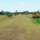 병성천 파크골프장(1) 이미지