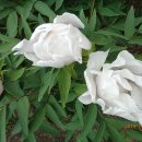 둘레길 안내센터 이미지