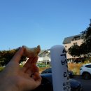 수백당제주이도점 | <제주이도이동맛집 수백당 제주이도점> - 돼지국밥의 신선한 매력