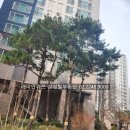 삼성힐(단지내)공인중개사사무소 이미지