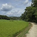 우보공인중개사사무소 이미지