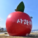 거창사과테마파크 전시실 이미지