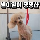 별이알이 댕댕샵 네이버블로그