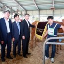 한우가 최고야 이미지